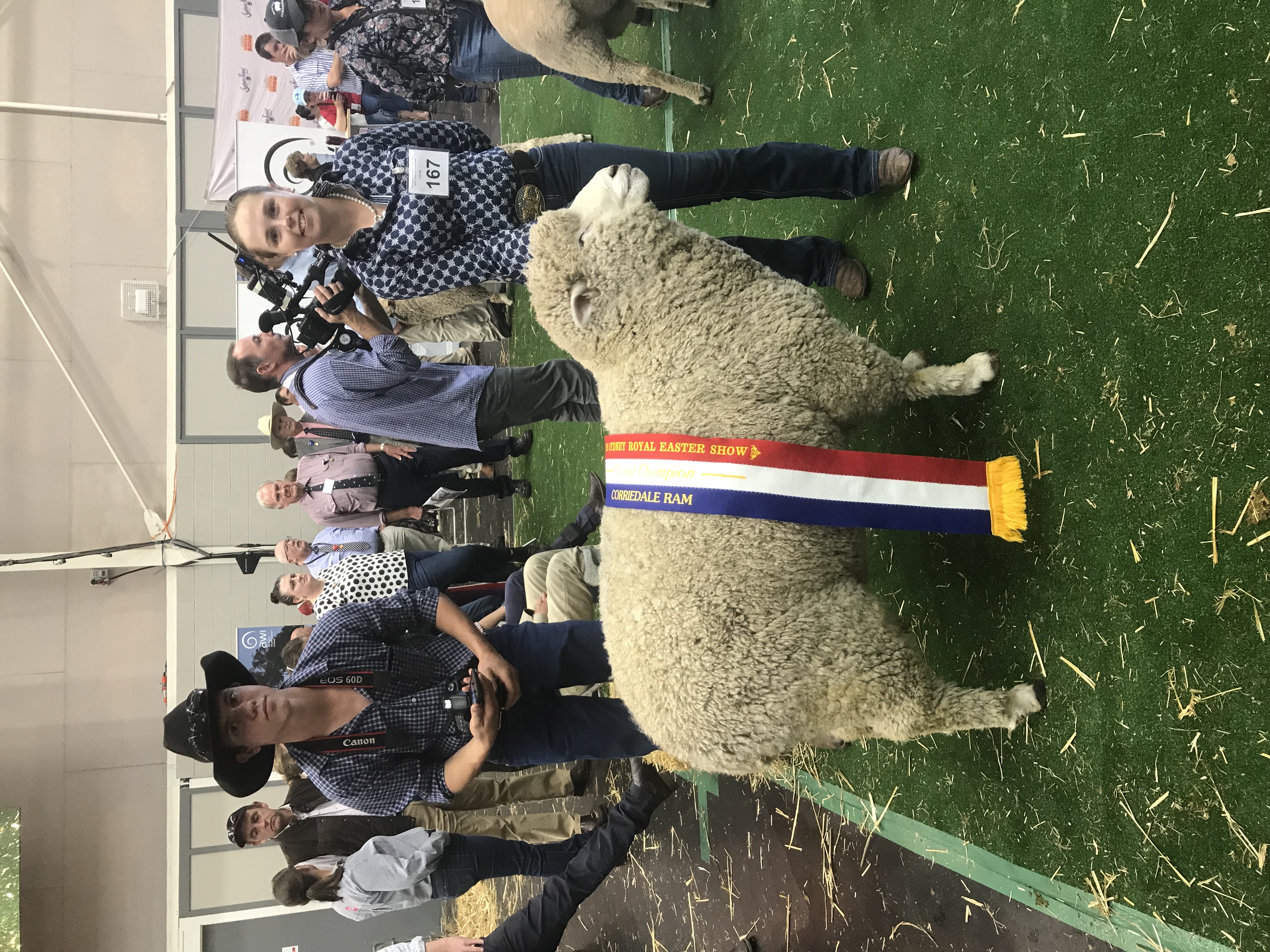 2019_SYDNEY_CHAMPION_RAM.JPG 2019_SYDNEY_CHAMPION_RAM.JPG